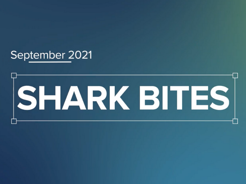 Shark Bites Sept 2021