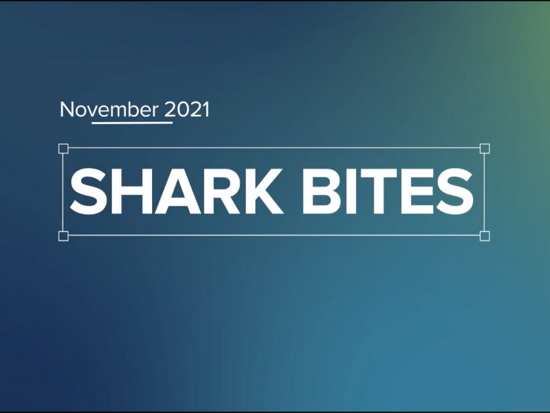 Shark Bites Nov 2021