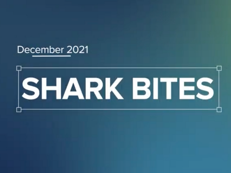 Shark Bites December 2021