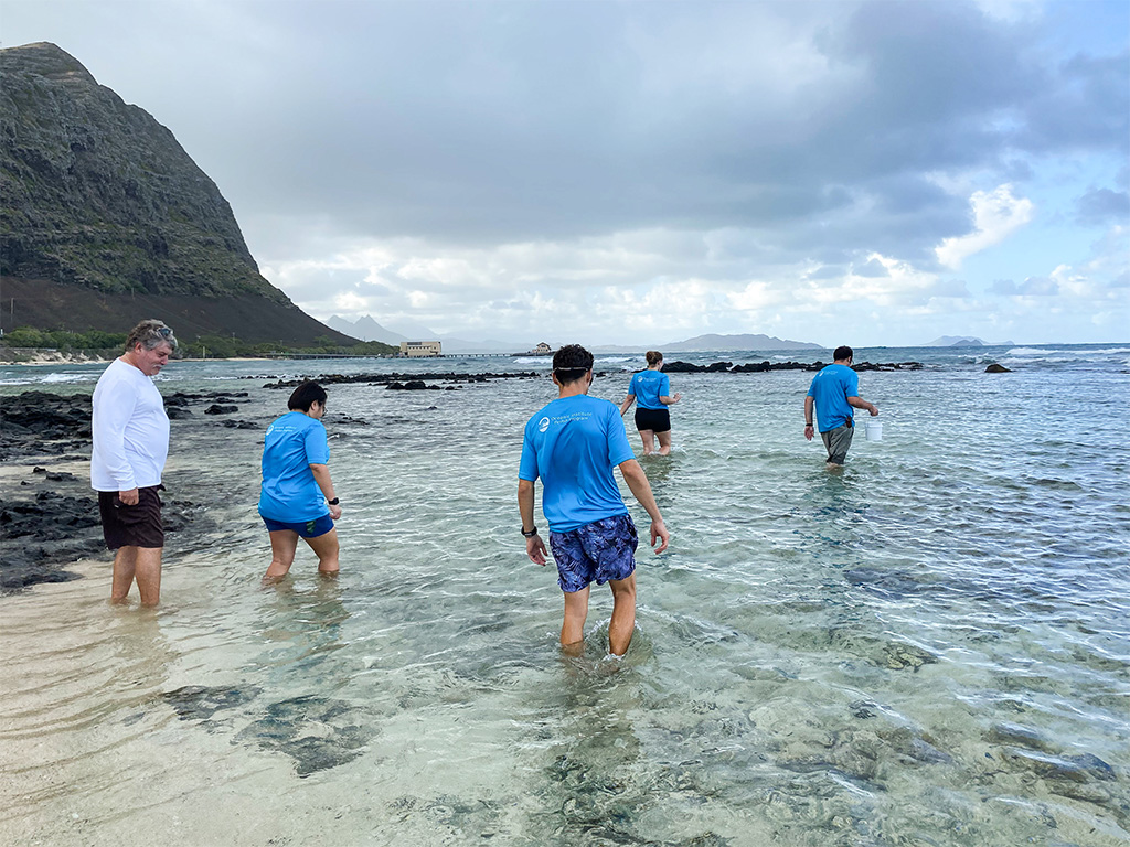 OI staff walk into the nearshore waters to release the yellow tang