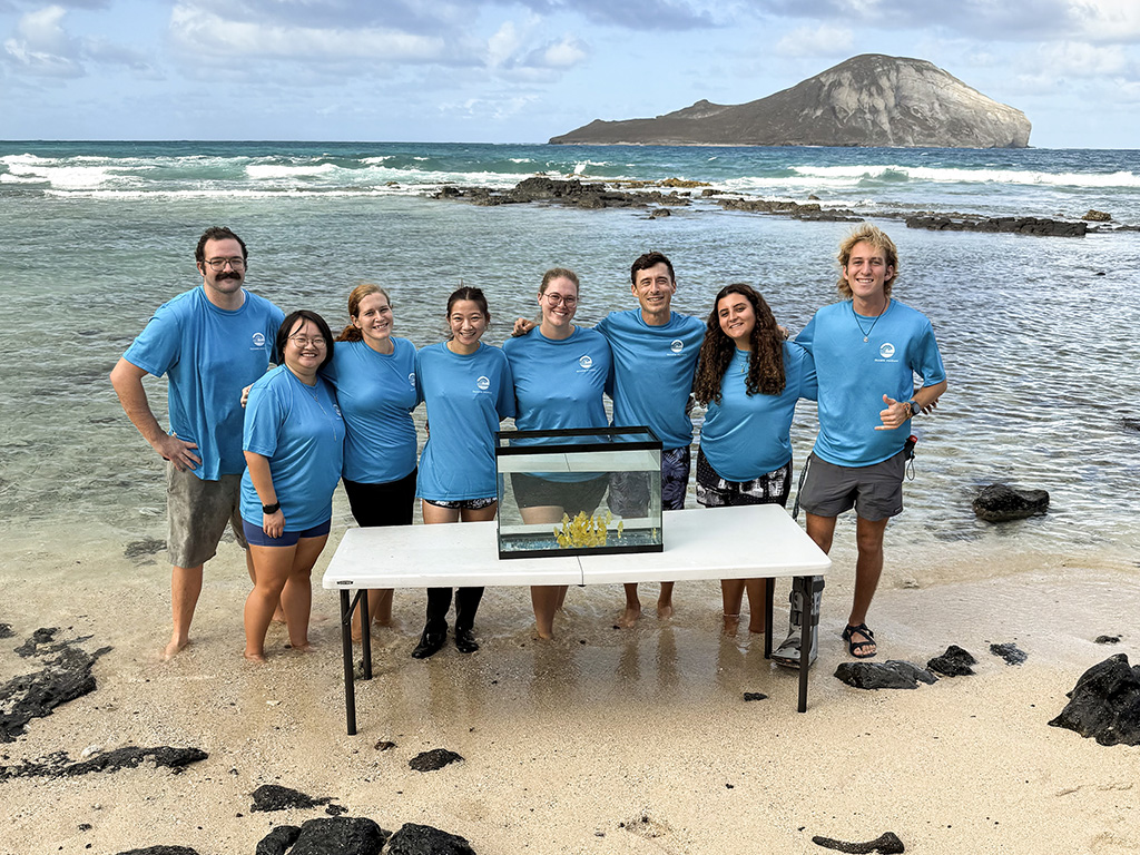 OI staff with juvenile yellow tang on the shores of Makapu'u