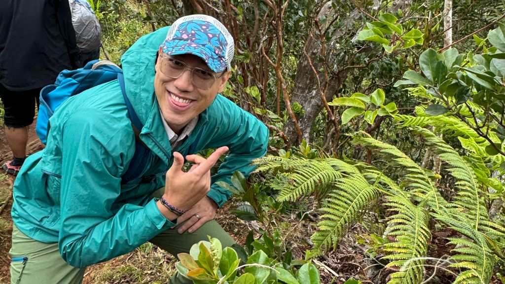 Cyrus Howe pictured: Invasive strawberry guava treatment using tectococcus ovatus on Waahila Ridge, led by Koʻolau Mountains Watershed Partnership