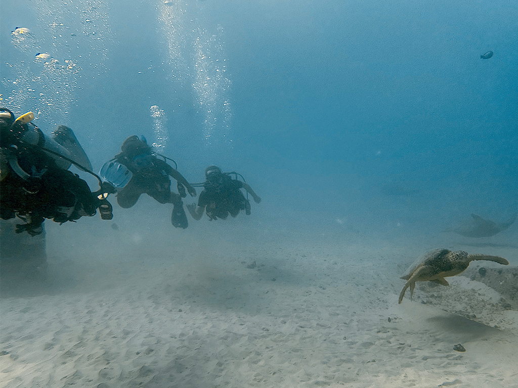 HPU's Ho'oko Rising Scholars program has expanded its impact in year two, and one of the new developments is a free scuba diving certification