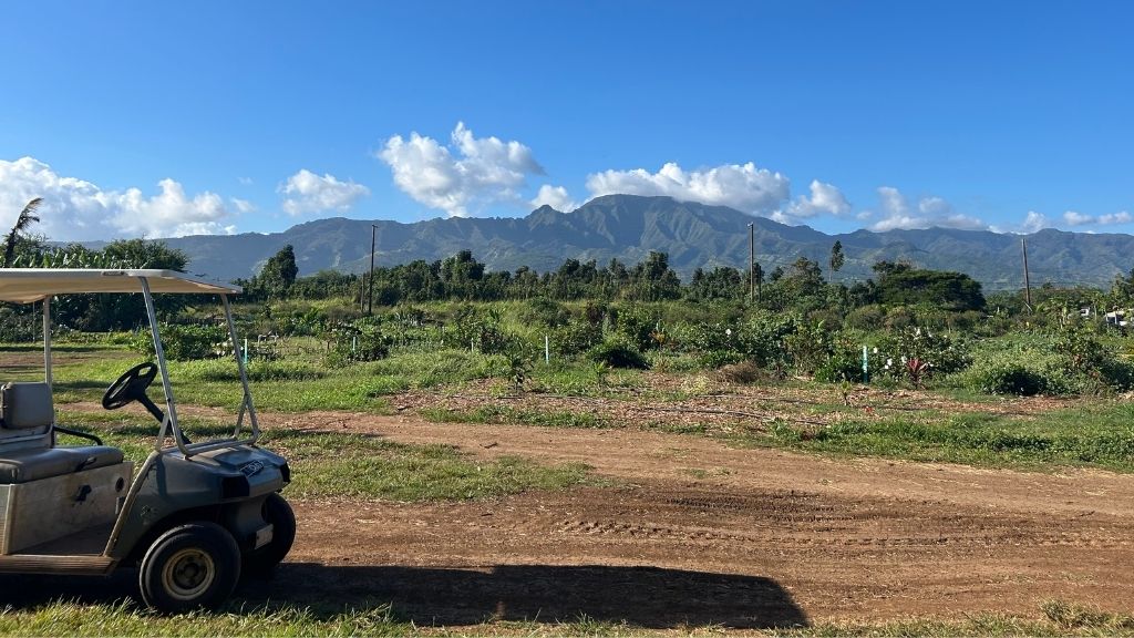 The nonprofit organizations learning farm is located in Haleiwa