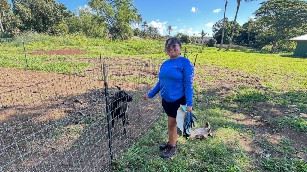 HPU student volunteer at the goat farm.