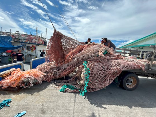 bounty fishers