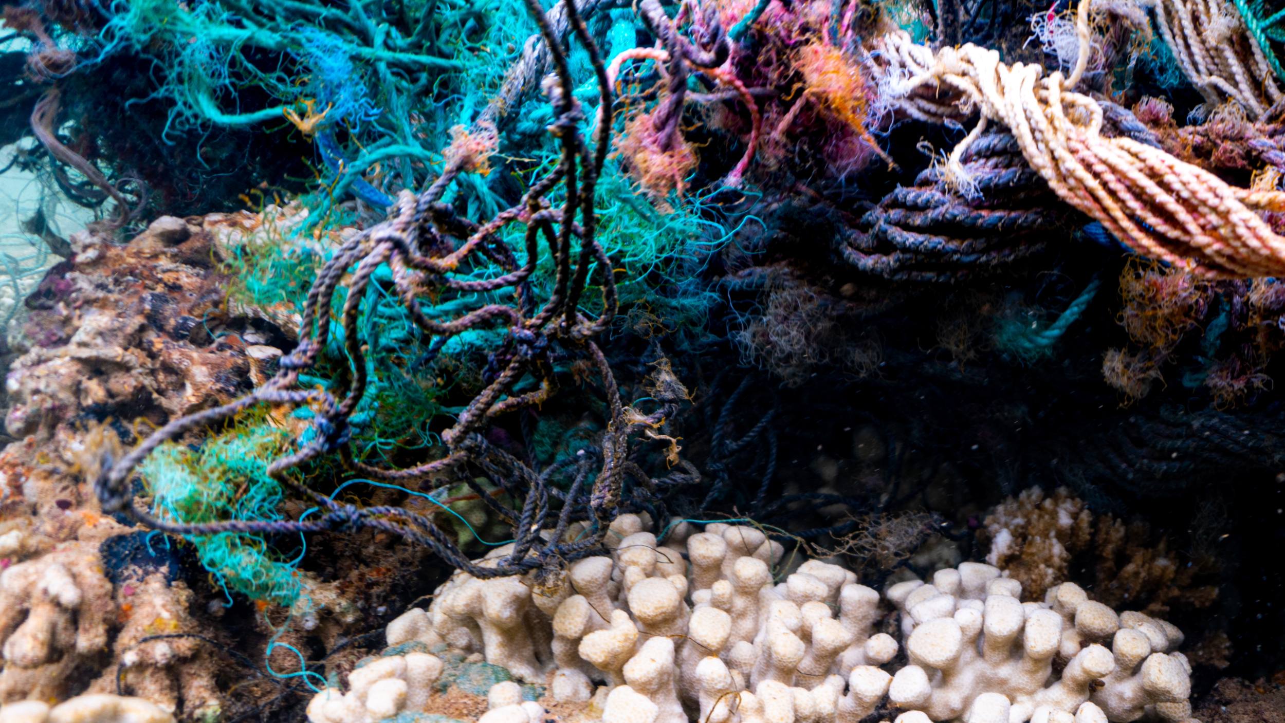 Underwater nets